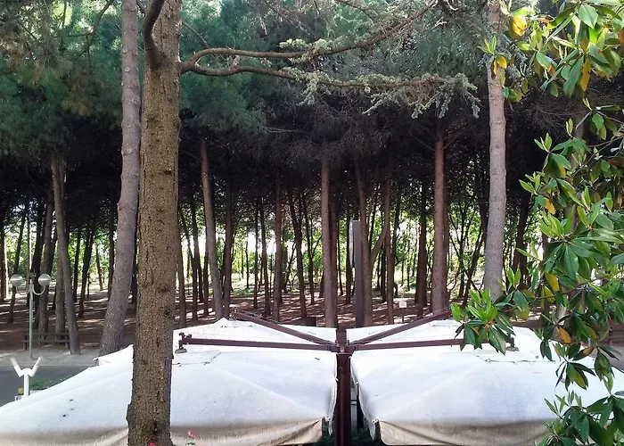 Antares 3* Червия