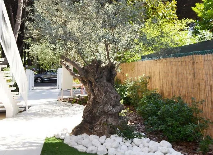 Antares 3* Червия